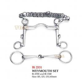 BI2531